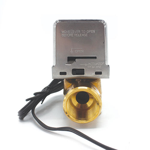 Delta Motorized Drain Valve 1 in. 240–480V EP103057