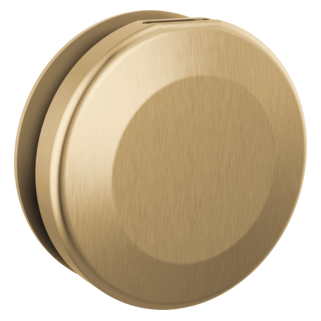 Delta SteamScape Classic Steam Head Round with Reservoir