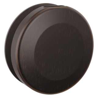 Delta SteamScape Classic Steam Head Round with Reservoir