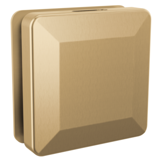 Delta SimpleSteam Steam Head Square