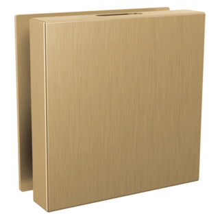 Delta SteamScape Deluxe Steam Head Square with Reservoir