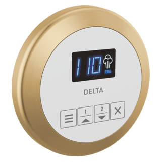 Delta SteamScape Classic Round Control Panel