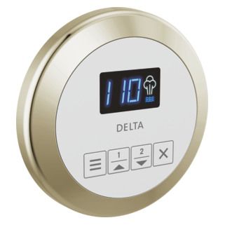 Delta SteamScape Classic Round Control Panel