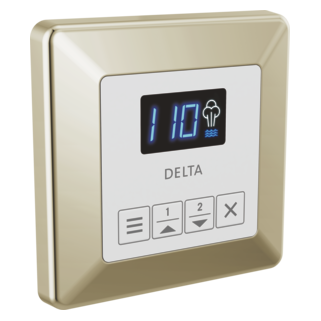 Delta SteamScape Classic Square Control Panel