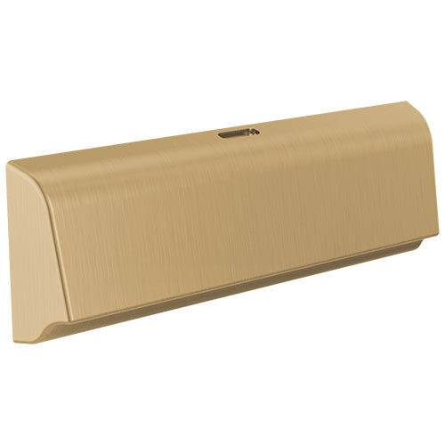 Delta SteamScape Deluxe Steam Head Unilateral with Reservoir