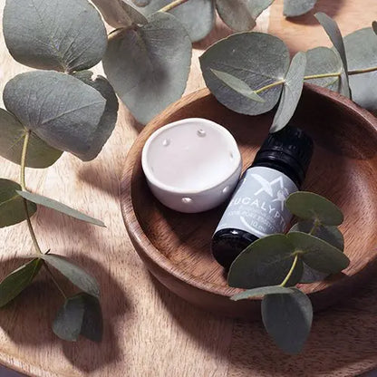 Saunum Aroma Oil Set (Eucalyptus Aroma Oil with Reservoir, 10 mL) Saunum