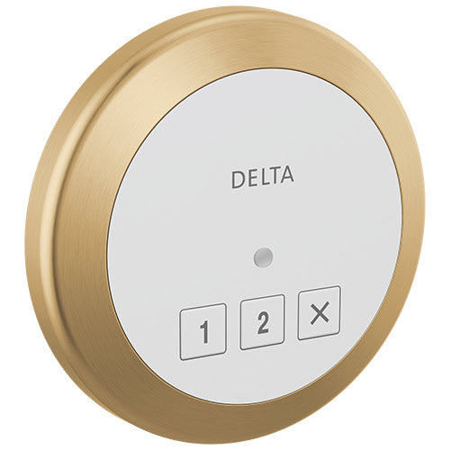 Delta SteamScape Round Steam Control Panel