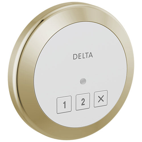Delta SteamScape Round Steam Control Panel