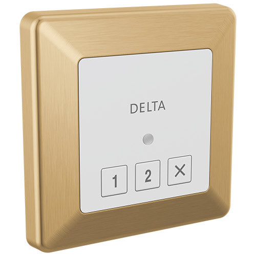 Delta SteamScape Square Steam Control Panel