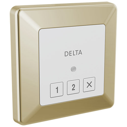 Delta SteamScape Square Steam Control Panel